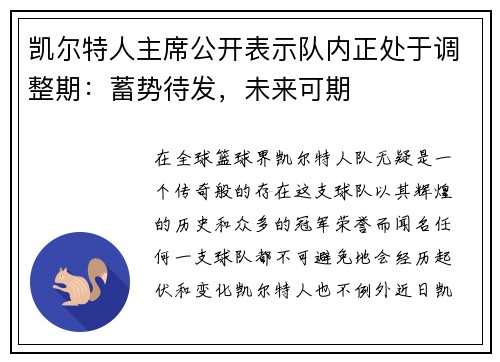 凯尔特人主席公开表示队内正处于调整期：蓄势待发，未来可期